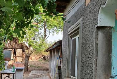 Casă cu 6 camere cu Teren 1600 Mp în Siliștea - 1