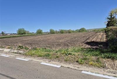 Teren intravilan de 5100 mp, în Bulai