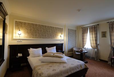 Vanzare hotel in zona superba de munte cu priveliste incredibila din camere - 13