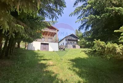Casa de vacanta in Magura, la poalele Muntilor Piatra Craiului - 2