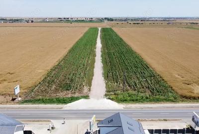 Teren Intravilan In Rate Berceni | utilitati: curent si gaz | #MG10 - 2