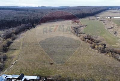 Teren agricol intravilan de 2592 mp, în Lipoveni - 9