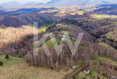 Teren agricol extravilan de 11105 mp, în Fundata - 2