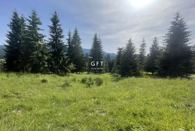 Teren de vanzare Colibita ! EXCLUSIVITATE! - 1