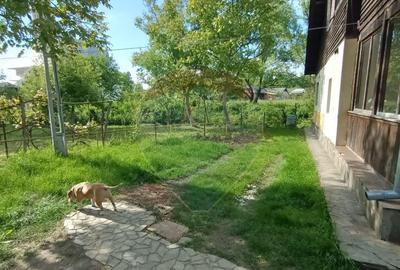 Casa de vanzare in stil vechi cu 3 camere si 3 arii i... - 3