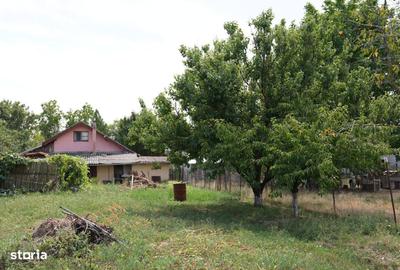 Casă cu 4 camere cu Teren 1100 Mp în Gepiu - 7