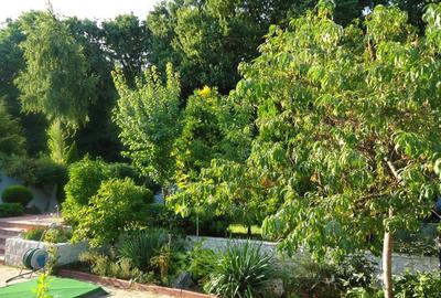 Vila piscina superba gradina matura cu iesire directa la padure - 30