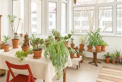 Apartament cu 4 camere decomandat în Bâlc - 3