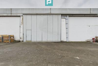 Hală cu teren intravilan de 3500 mp, în Sebiș Arad - 29