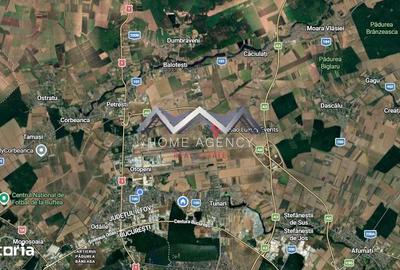 Teren de 33211 mp, în Tunari - 3