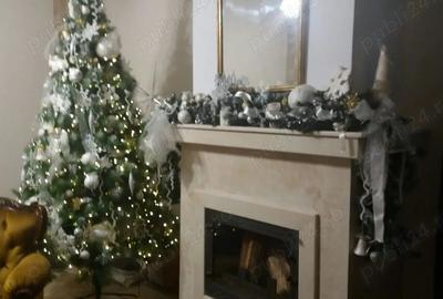 Vila spatioasa de inchiriat la intrarea in Dumbravita - 6