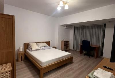 Garsonieră semidecomandată în Banu Manta - 3