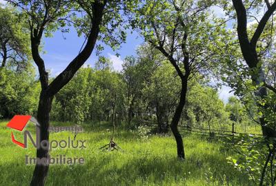 ✨ Teren cu potențial rezidențial și turistic | 3.000 m² | Exclusivitate Napolux - 4