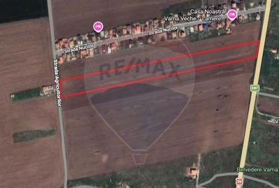 Teren de 19500 mp, în Limanu