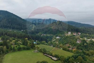 Teren de 3175 mp, în Poiana Angelescu - 14