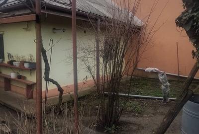 Casă individuală cu 7 camere cu Teren 660 Mp în Palazu Mare - 23