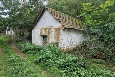Teren de 79000 mp, în Central - 16