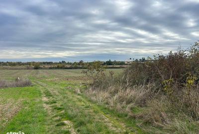 Spațiu comercial, în Piscu - 6