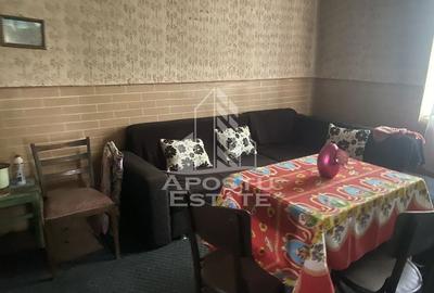 Oportunitate de investitie,în Dragsina,teren 9096 mp. - 10
