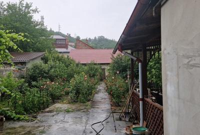 Penthouse cu 7 camere decomandat în Muncitoresc - 3