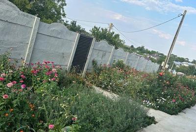 Casă cu 3 camere în Plosca - 3