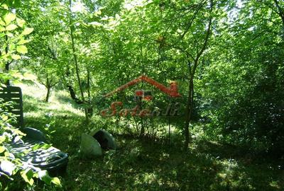 Teren de 2276 mp, în Vest - 11