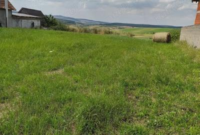 Teren în Tășad - 2
