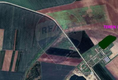 Teren agricol 14,200mp zona fermei din Zimandu Nou - 3