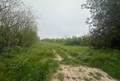 Teren de 46000 mp, în Central - 6