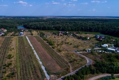 Branesti vanzare terenuri 764 si 1000mp CU UTILITATI langa lac si padure - 7