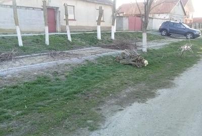 Casă cu 4 camere în Șimand - 2