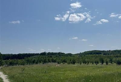Teren Construcții intravilan de 685 mp, în Paleu
