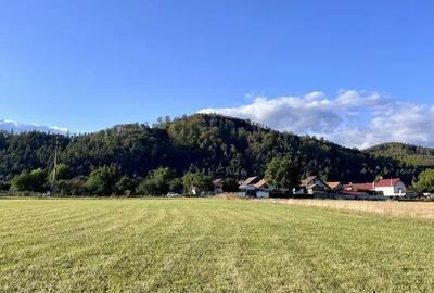 Teren de 650 mp, în Central