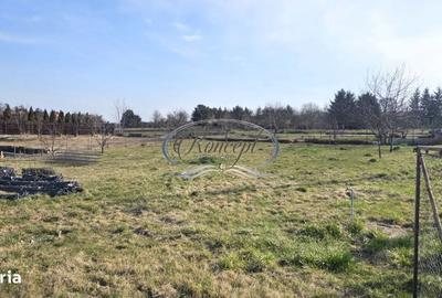 Spațiu comercial, în Bună Ziua - 2