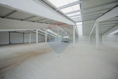 Spațiu industrial, de 5,050 mp, în Palota - 13