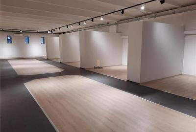 Spatii Comerciale - 500 mp - Showroom - Comert - 24