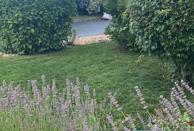 Vanzare casa Paradisul Verde Corbeanca - 19