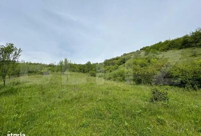 Casă cu 4 camere în Bunești - 11