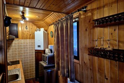 Casa de poveste in satul Pestera, Moeciu Brasov - 29