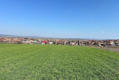 Teren de 5375 mp, în Cheriu - 3