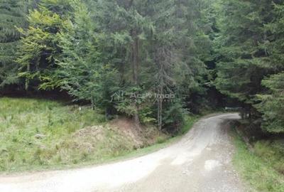 Teren de 69450 mp, în Arefu - 1