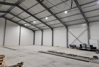 Zona Est - Drumul Intre Tarlale - Cernica - Pallady - Autostrada A2 investitie - 4