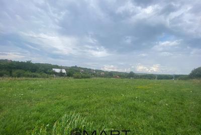 Teren de 8000 mp, în Daia - 4