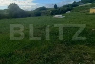 Teren de 1400 mp, în Central - 4