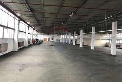 Spațiu industrial, de 1,650 mp, în Someșeni