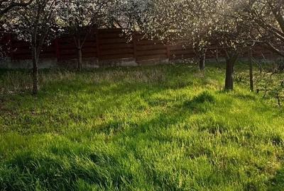 Casă cu 3 camere în Dancu - 7