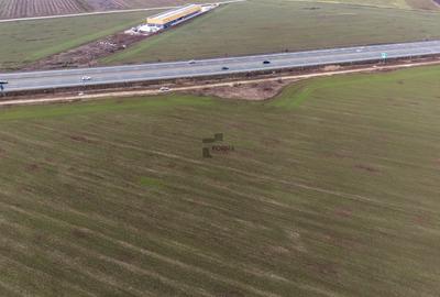 Teren Construcții intravilan de 29777 mp, în Ștefăneștii de Jos - 2