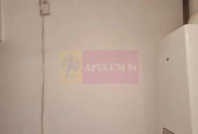 Casă cu 5 camere cu Teren 2875 Mp în Sadina - 14