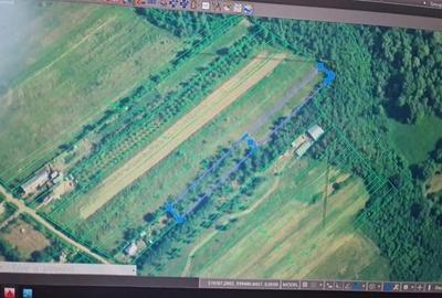 Spațiu comercial, în Țipărești - 3