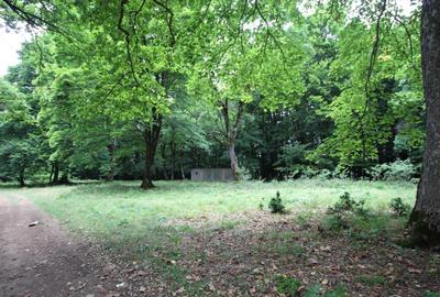 Teren Construcții intravilan de 4714 mp, în Poiana Brașov - 7